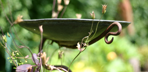 copper bird bath bespoke